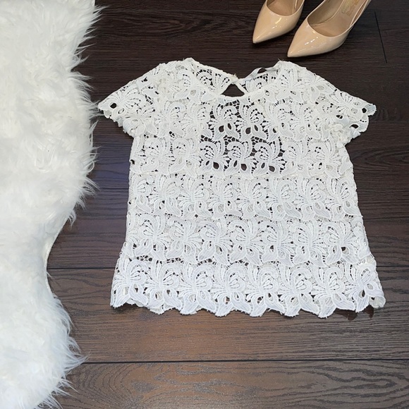 Zara Lace Top - Picture 1 of 5